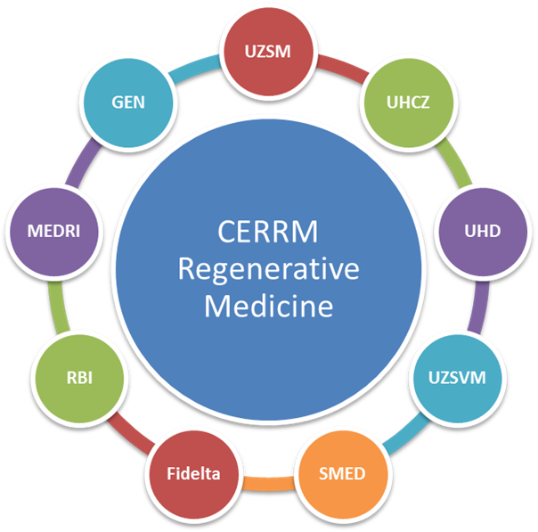 Reproductive and regenerative medicine